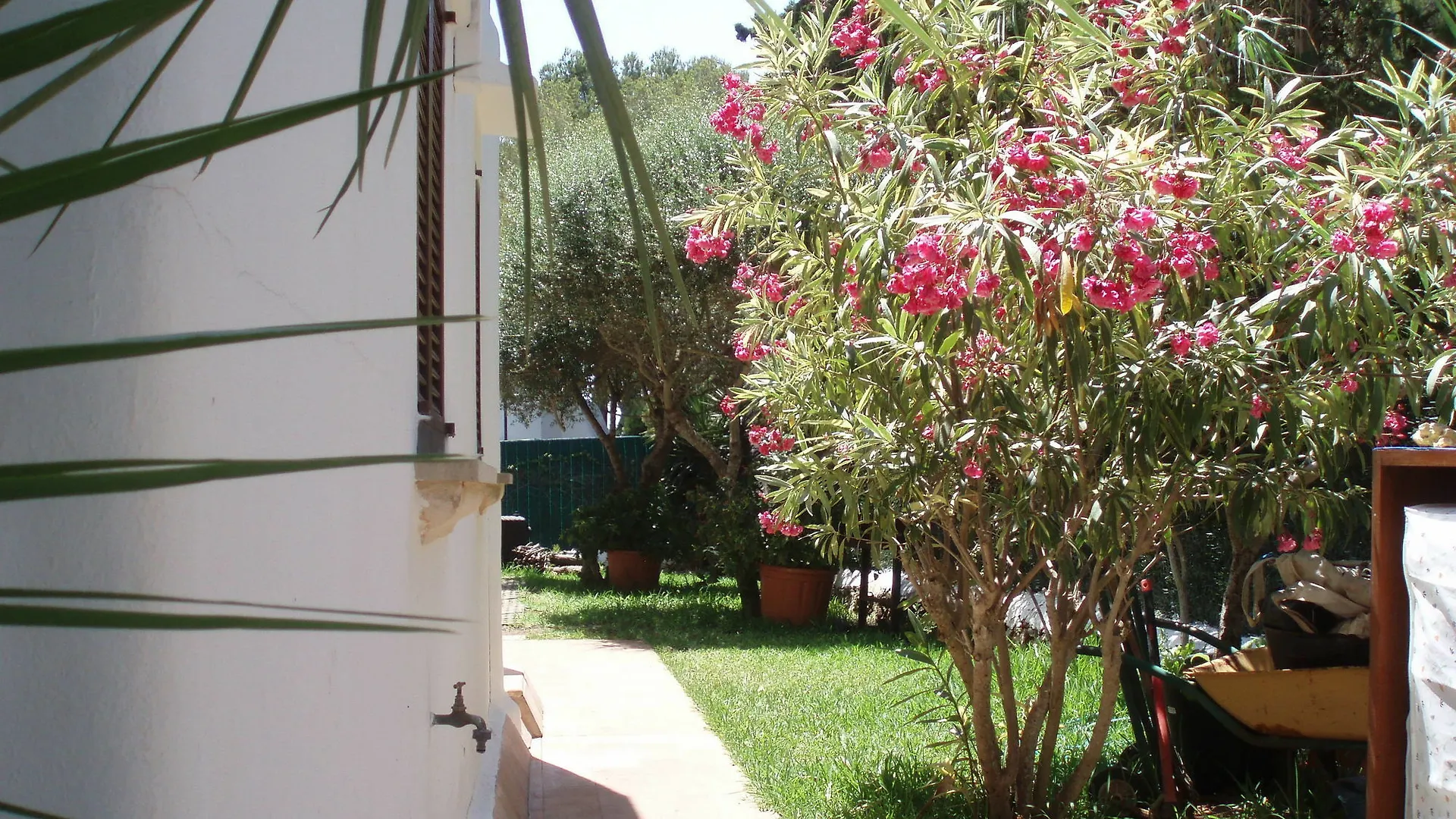 Appartement Apartamentos Osa Menor Cala D´Or Spanje