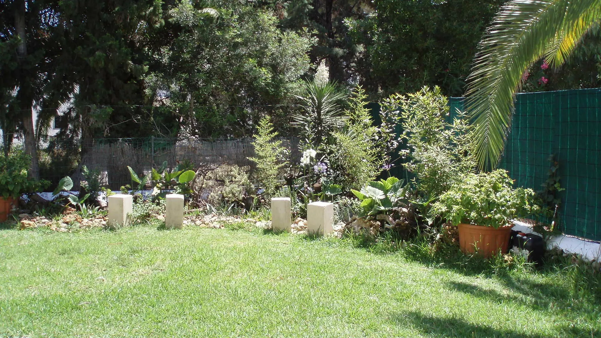 Lägenhet Apartamentos Osa Menor Cala D´Or